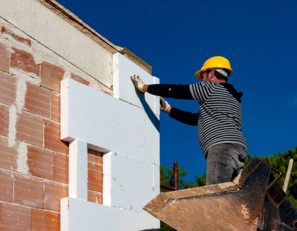 Best Cellulose Insulation in Licking, MO