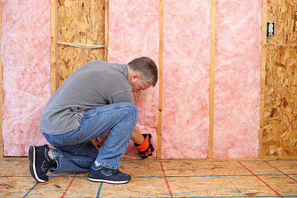 Best Fiberglass Insulation in Licking, MO