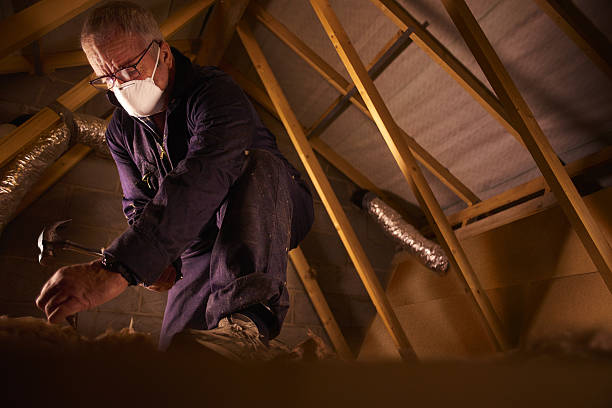 Types of Insulation We Offer in Licking, MO